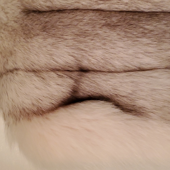 Fox Fur Saga Vest - Picture 10 of 16